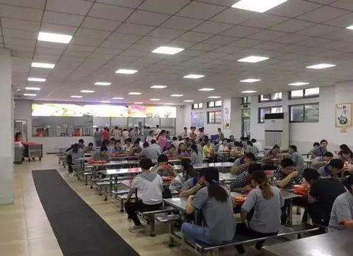 食堂飯菜與會議服務(wù) 留住員工的味蕾與歸屬感